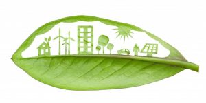 Read more about the article Novo Regime de Licenciamento Único de Ambiente