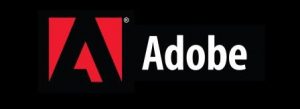 Read more about the article Urgente! Atualize o Flash do seu computador!